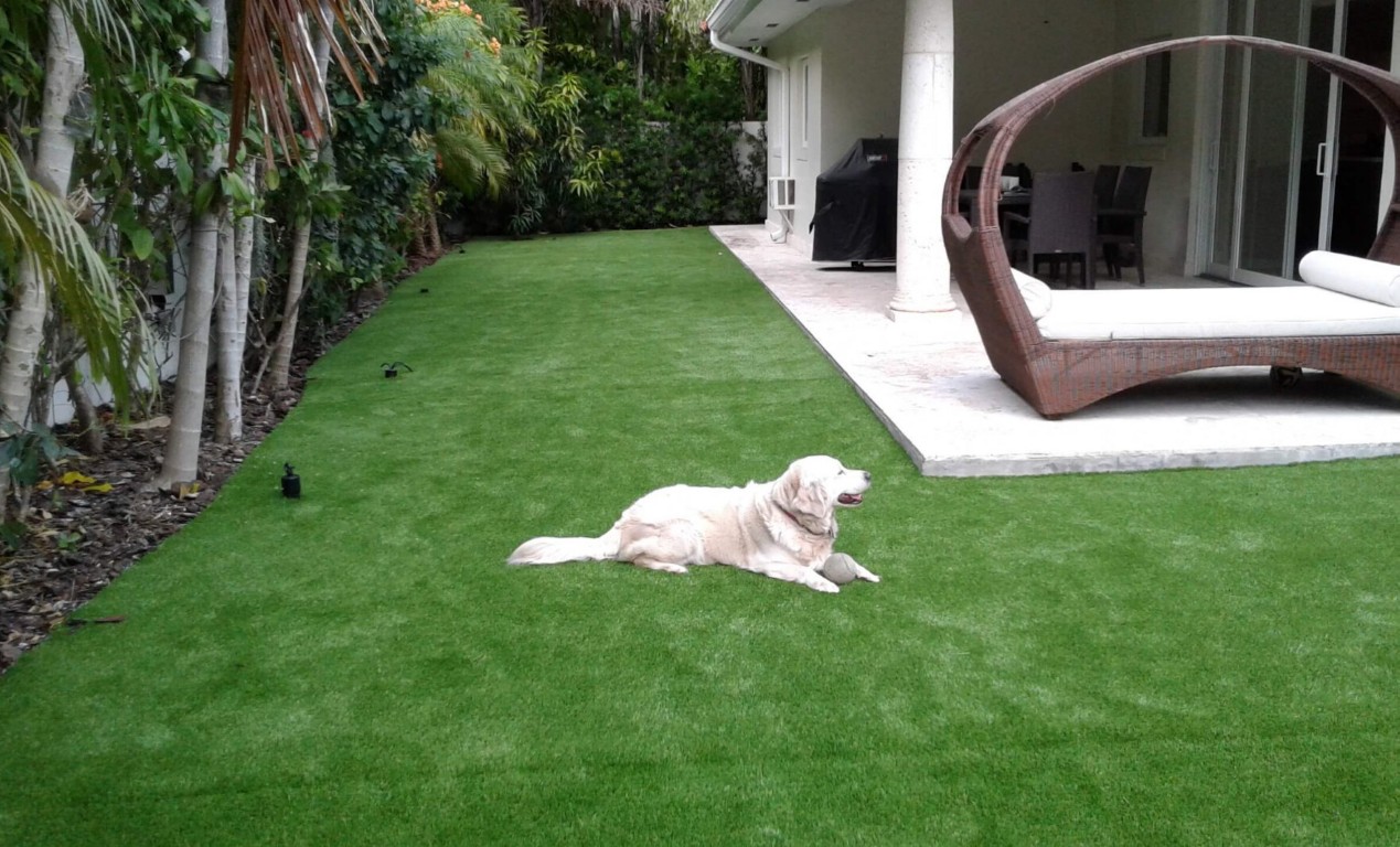 Pet Turf / Dog Turf Systems service in Kissimmee, FL